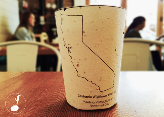 Itt az elültethető kávéspohár!