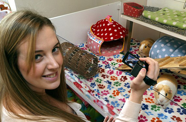 Tengerimalacai tartják el ezt a nőt Tengerimalacai tartják el ezt a nőt