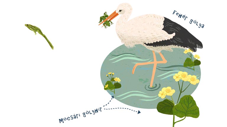 Berg Judit: Lengekalendárium 