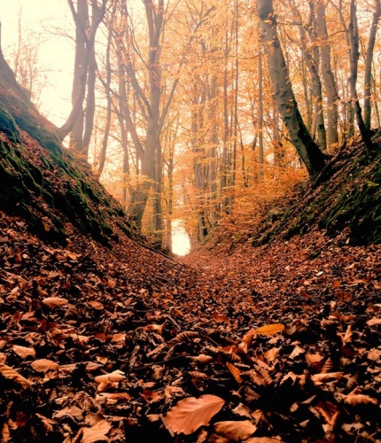 Fotó:Waldemar N. - Lengyelország