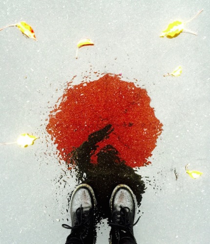 Fotó: Cielo D. - Alameda, CA