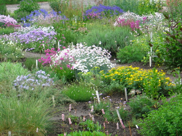 Budapesti kirándulás: 3 gyönyörű arborétum Budapesti kirándulás: 3 gyönyörű arborétum