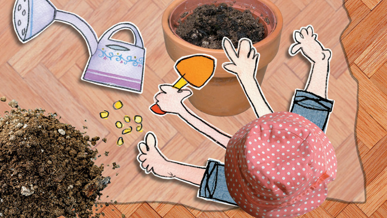 D. Tóth Kriszta: Lolamesék - Paracsidom-kertészet