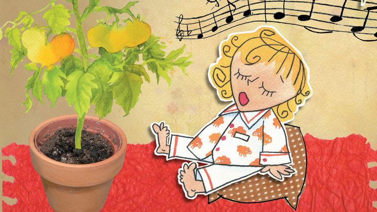 D. Tóth Kriszta: Lolamesék - Paracsidom-kertészet