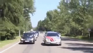 Könyvben írta meg a magyar vőfély a tökéletes esküvő receptjét – Ellestük a tippeket