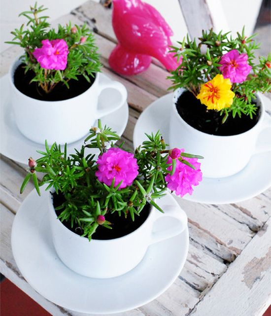 DIY: Hogyan készíts virágoskertet a bögrédből?