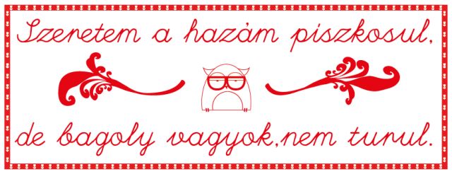 Sanyi, a bagoly: keveset beszél, de mond valamit