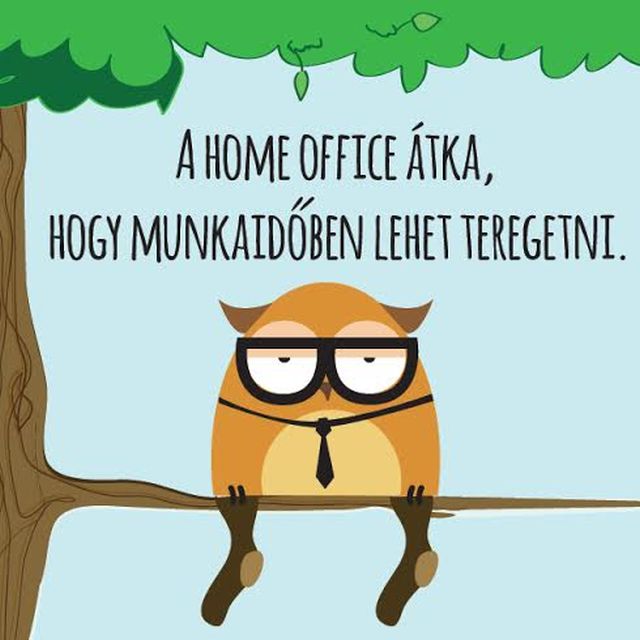 Sanyi, a bagoly: keveset beszél, de mond valamit