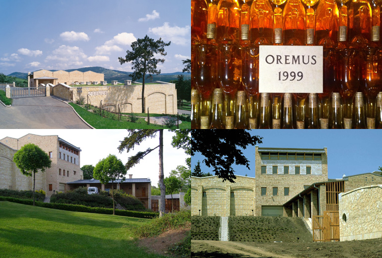 A tokaji Oremus pince