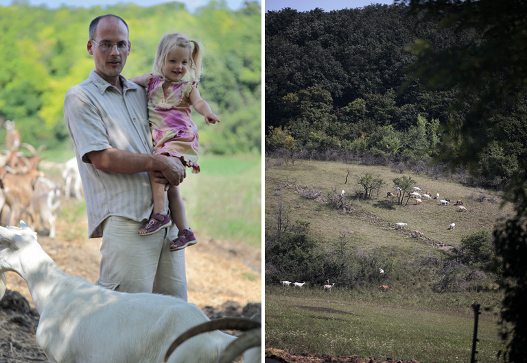 Gondoltál már rá, hogy elmész a Balaton-felvidékre kecskéket nevelni? Ők megcsinálták