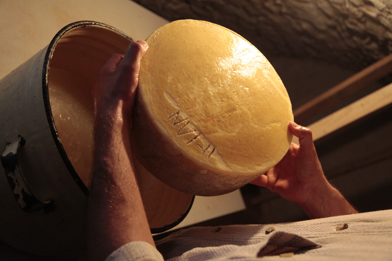 Gondoltál már rá, hogy elmész a Balaton-felvidékre kecskéket nevelni? Ők megcsinálták