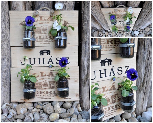 Tavaszi tipp: ültess a vázába is! Tavaszi tipp: ültess a vázába is!