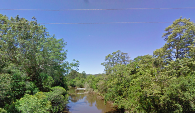 Életet mentett a hős kutya