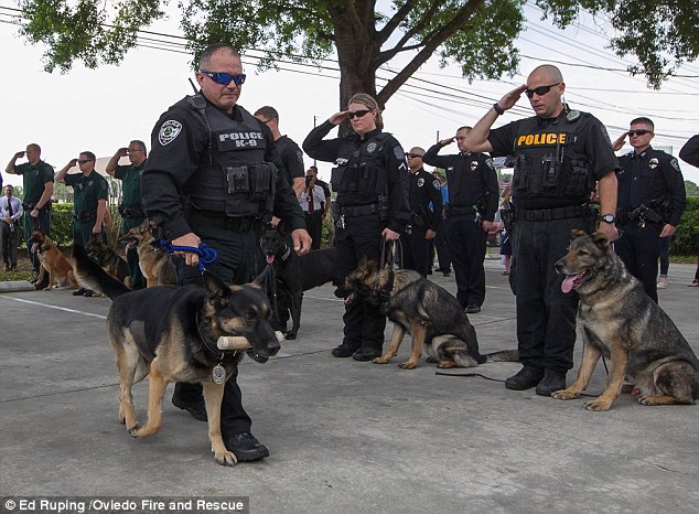 Megható búcsú: így köszöntek el a kiváló rendőrkutyától