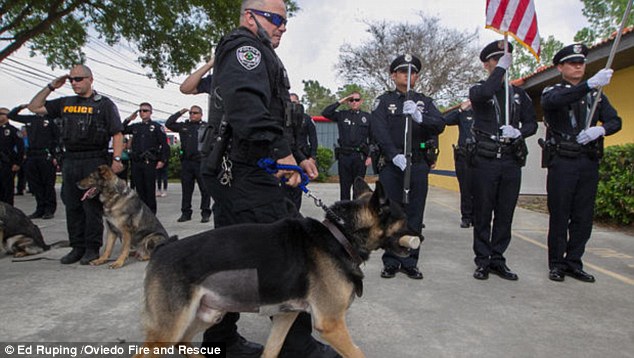 Megható búcsú: így köszöntek el a kiváló rendőrkutyától
