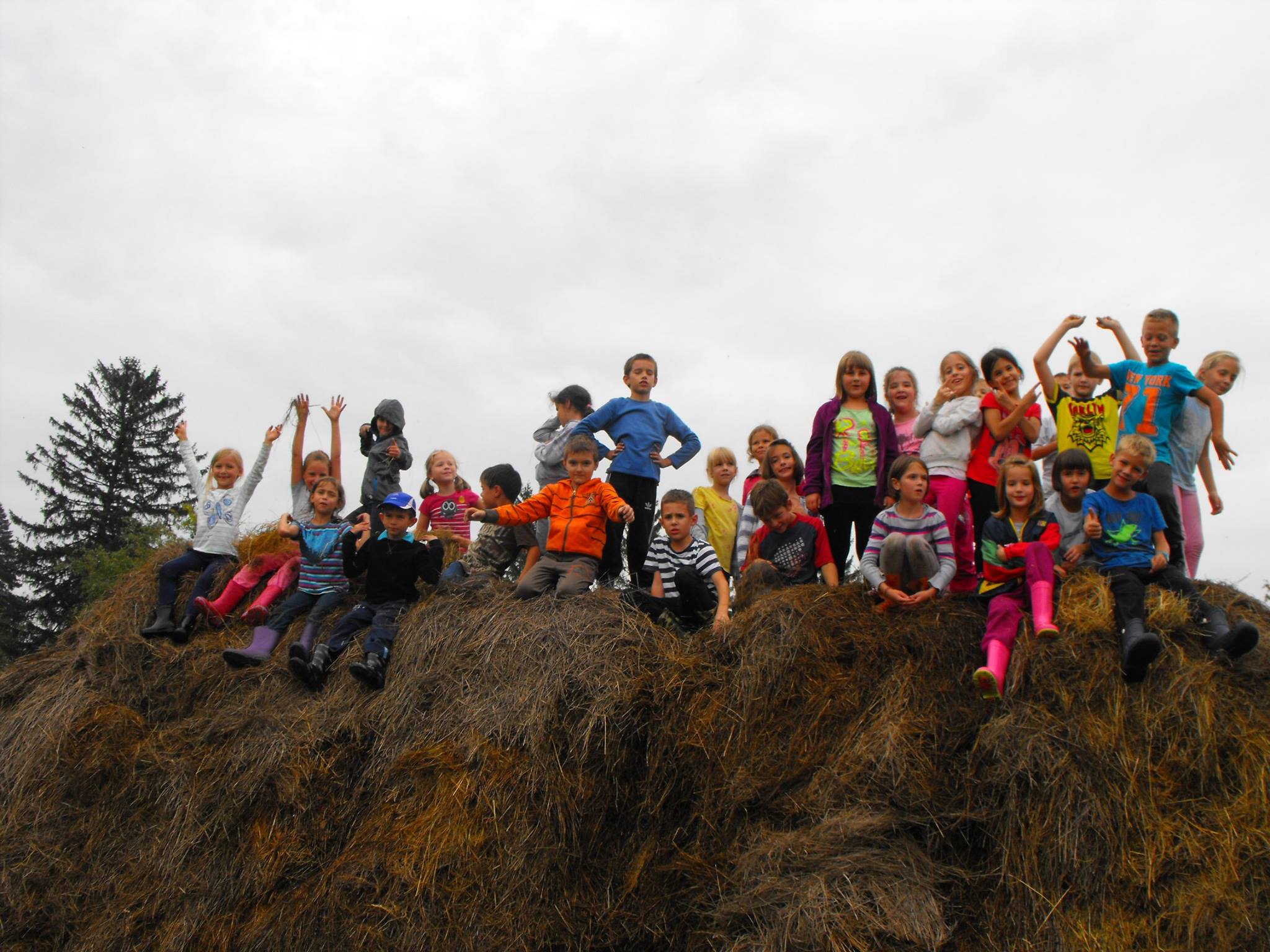 Az ország kedvenc tanára: 