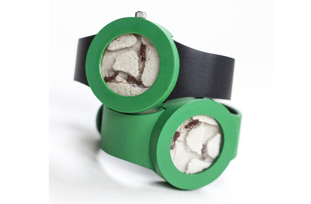 Áprilisi tréfa volt a hangyás karóra