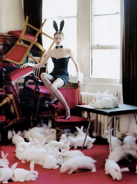 15 cuki, nyuszis divatfotó