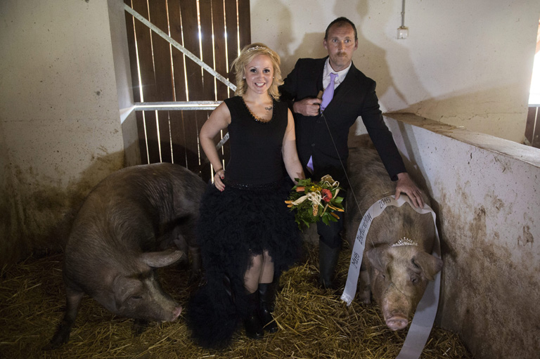 And the winner is: Tünci, a másfél mázsás dáma. Udvarhölgye féltékeny pillantásokkal méregeti. 