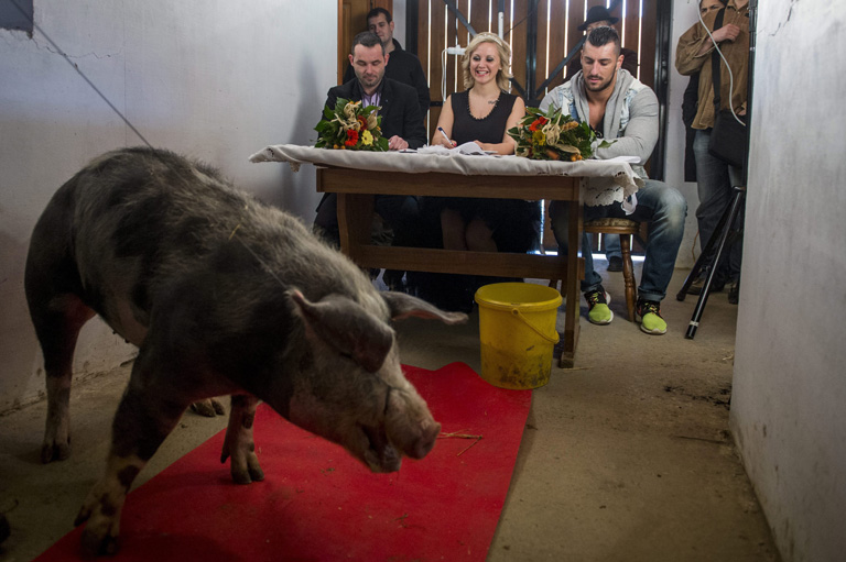 Álmom a világbéke és a gabonakolbász.