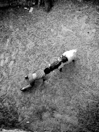 A harmadik helyezett iráni Ako Salemi fotója