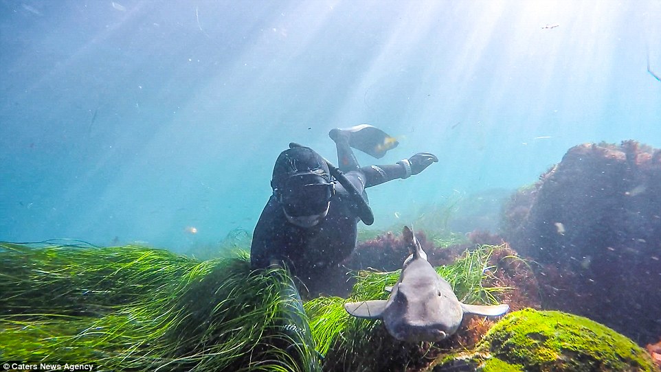 Egzotikus szelfiőrület: fotózkodj cápával! - képek Egzotikus szelfiőrület: fotózkodj cápával! - képek