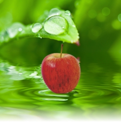 Ingyenes családi egészségnapot tartanak Budapesten