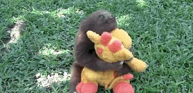 11 lajhár, aki akár te, vagy a munkatársaid is lehetnének 11 lajhár, aki akár te, vagy a munkatársaid is lehetnének