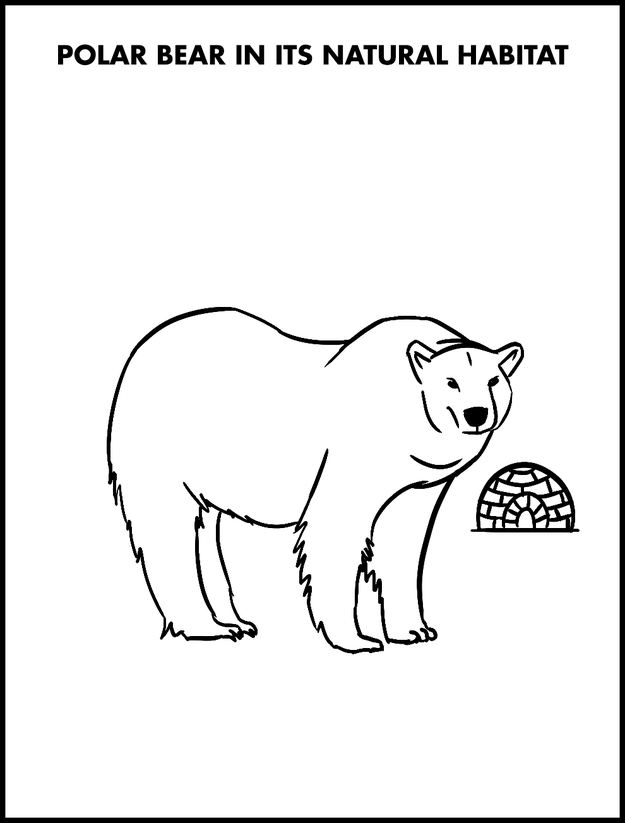 Íme a tökéletes kifestő lusta emberek számára