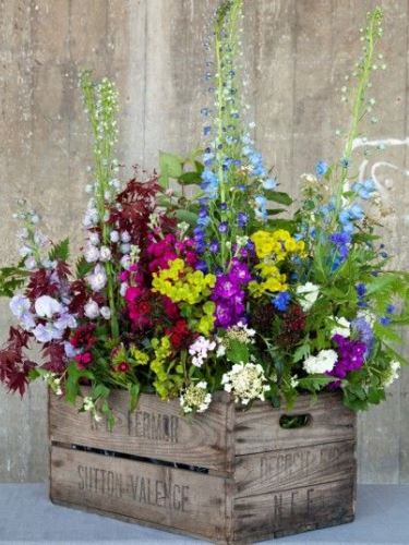 Kreatív és mutatós virágláda ötletek kertbe, ablakba