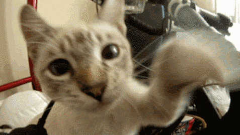 20 dolog, amit minden friss szülő elkövet a babájával