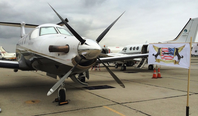 Repülővel viszik a gazdihoz a menhelyi kutyákat - képek