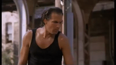 Vlagyimir Putyin munkát ajánlott Steven Seagalnak Vlagyimir Putyin munkát ajánlott Steven Seagalnak