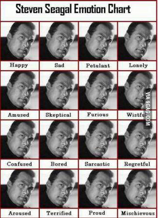 Vlagyimir Putyin munkát ajánlott Steven Seagalnak Vlagyimir Putyin munkát ajánlott Steven Seagalnak