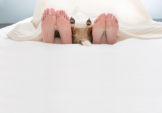 Megcsinálták a kutyájukkal, amit más az újszülött babájával szokott