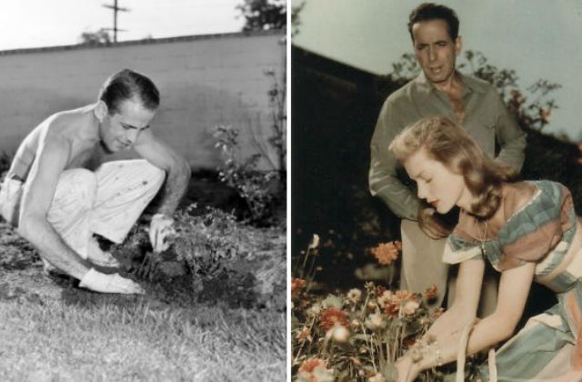 6 híres férfi, akinek a kerti munka sem piszkos