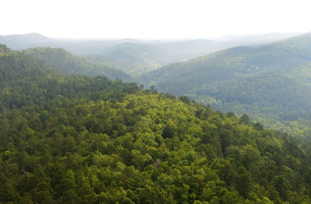 Fotó: Dan Barr/Stocktrek/Corbis