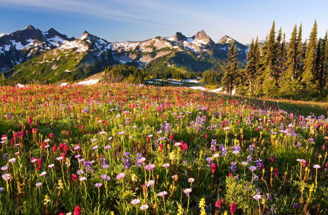 Fotó: Craig Tuttle/Corbis