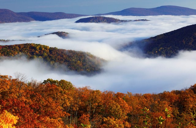 Fotó:Ben Klaus/Getty Images