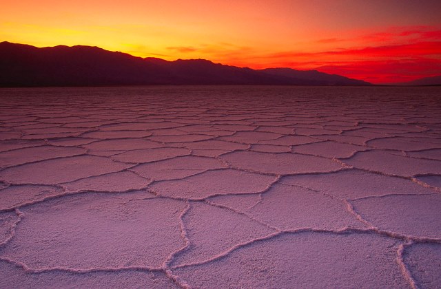 Fotó: Frank Krahmer/Corbis