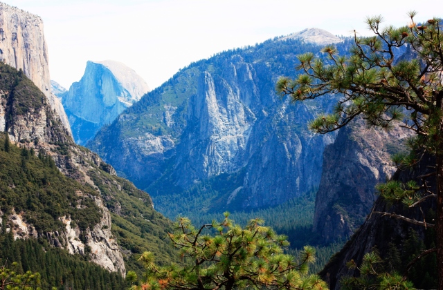 Fotó: Scott Stulberg/Corbis