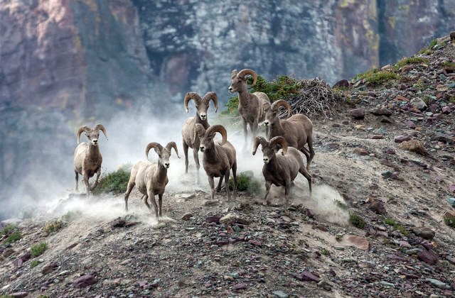 Fotó: Harry Laub/Corbis