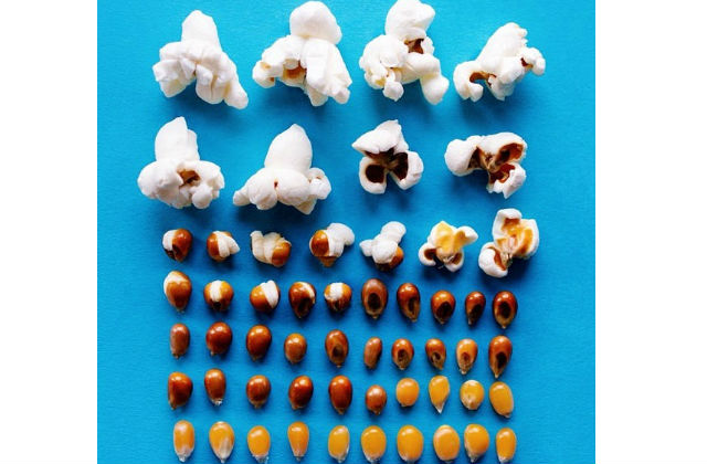 Elképesztő ételfotók - galéria