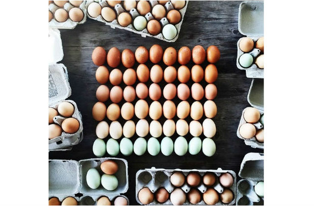 Elképesztő ételfotók - galéria