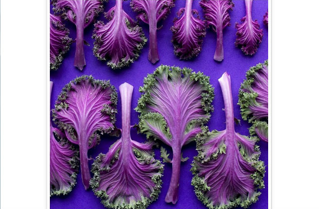 Elképesztő ételfotók - galéria