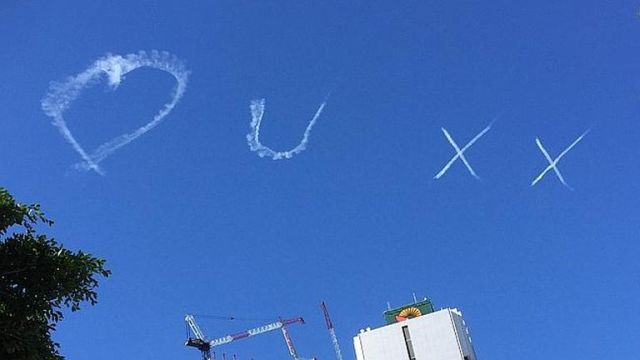 Égre firkált bocsika