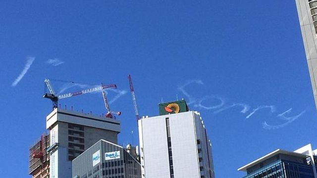 Égre firkált bocsika