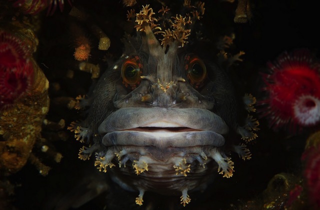 Fotó: Andrey Shpatak