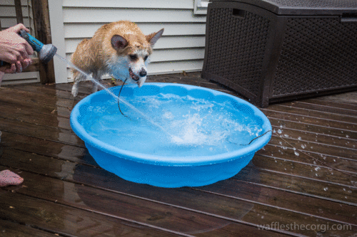 Berobban egy mininyár! Kedden 30 fok lesz Berobban egy mininyár! Kedden 30 fok lesz