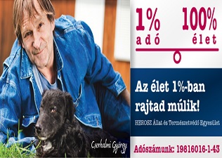 További fotókért kattints a képgalériára!